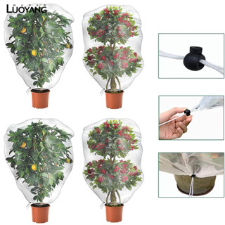 洛陽牡丹 防蟲網袋 植物防蟲網罩 園林果瓜防蟲袋抽繩鎖釦植物罩