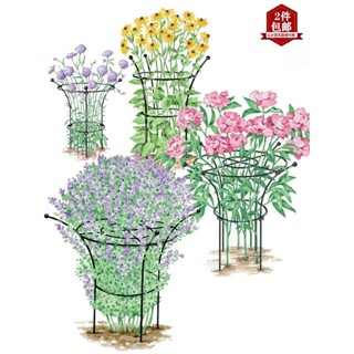 含發票~ 爬藤架 造型小支架 花束型植物支架 繡球架 鐵藝爬藤花架 花卉扶植花壇支撐陽臺