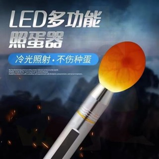 臺灣出貨+統編 照蛋器 led手電筒 孵化專用 驗蛋燈 孵蛋可充電照蛋燈 蛋種檢查燈 冷光孵化手電 新品推薦