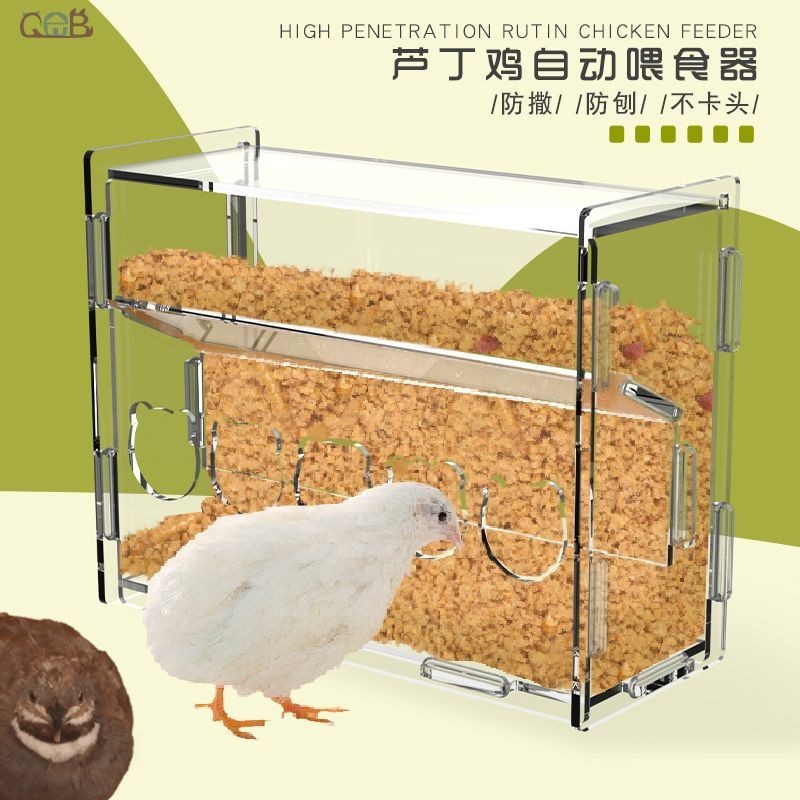 蘆丁雞餵食器自動防刨防撒大容量亞克力透明吃食盆寵物雞下料食槽