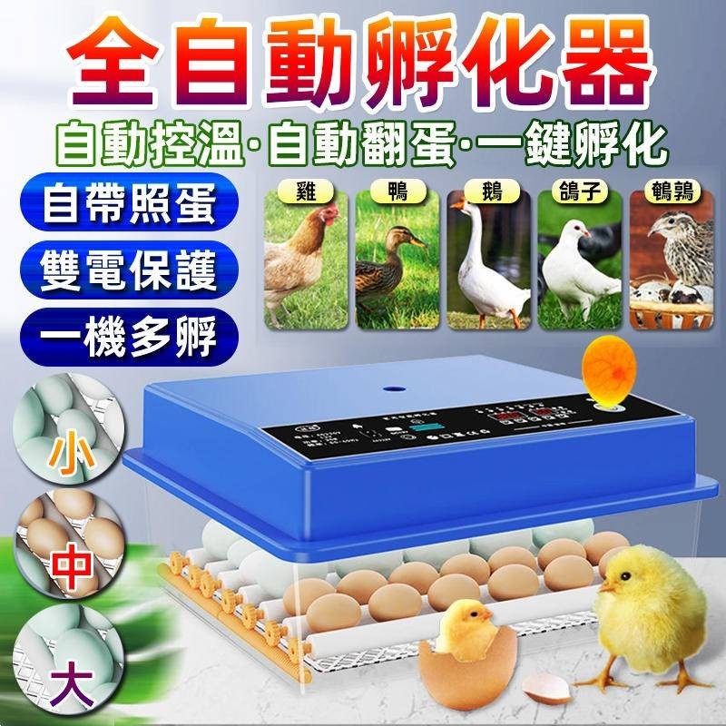 台灣出貨 孵化器 蘆丁雞孵蛋器 孵蛋機 雙電孵蛋器 全自動孵化器 智慧控溫箱 小雞孵化機 智能孵化箱 鵪鶉孵蛋機保溫箱