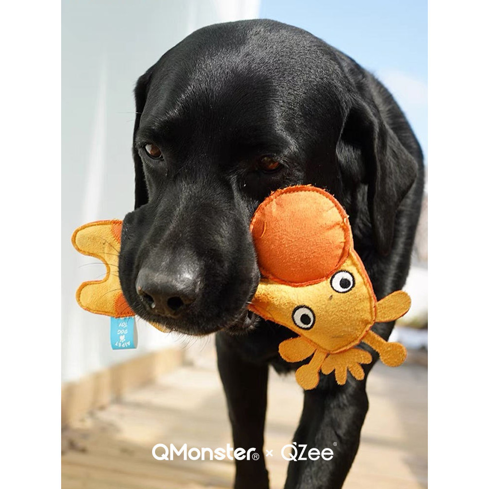 QZee狗狗玩具Qmonster寵物發