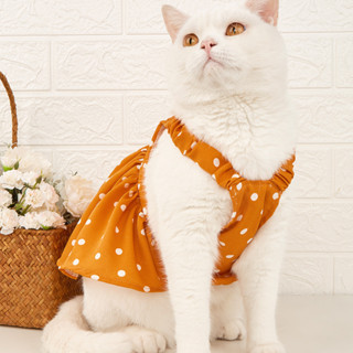 寵物裙子夏季新款貓咪衣服ins風可愛斑點吊帶裙狗狗衣服