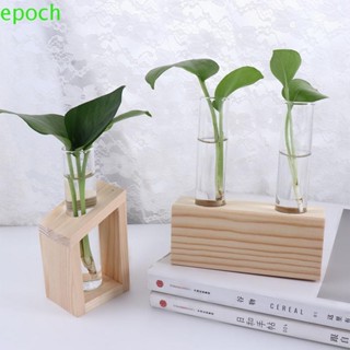 Epoch試管花瓶玻璃玻璃容器玻璃花瓶花瓶花卉裝飾桌面植物植物花瓶