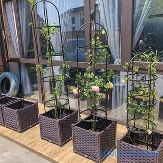 附發票~ 陽臺種菜深花盆樓頂專用 葡萄薔薇月季花箱 花槽大號 果樹盆 50種植箱