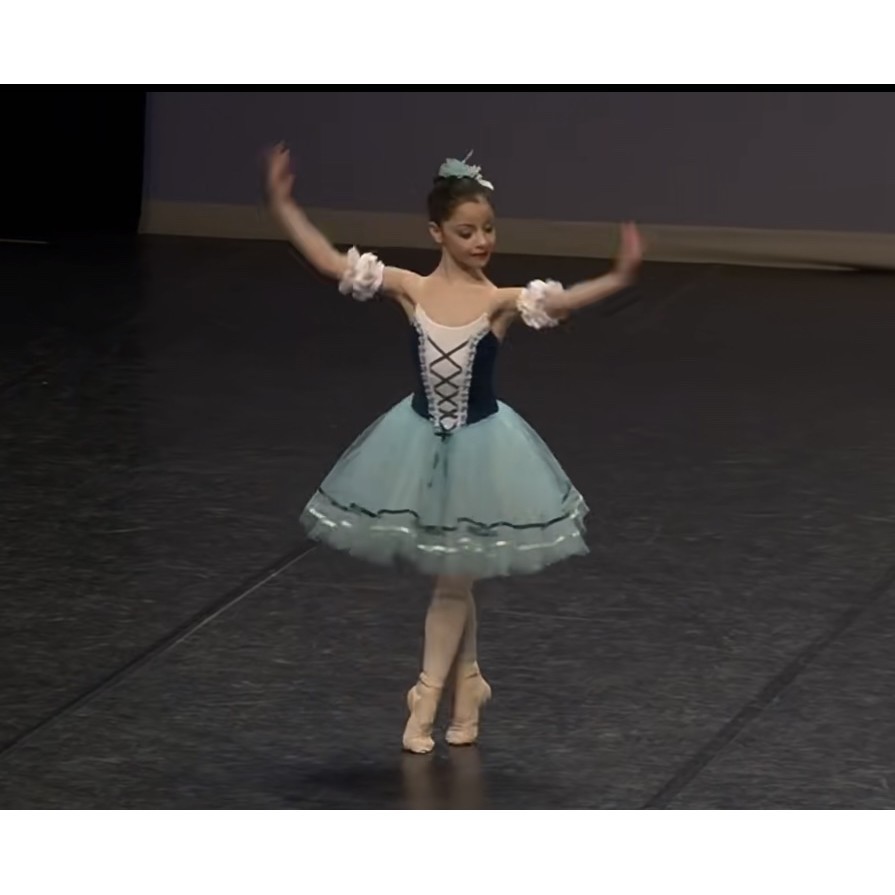 高檔女童表演服 D2/專業芭蕾舞服 芭蕾舞吉賽爾兒童比賽舞蹈服蓬蓬裙成人紗裙芭蕾表演服
