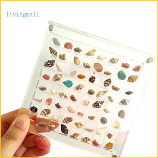 Livi 實用透明外殼收藏家案例亞克力外殼展示櫃裝飾外殼收藏存儲組織者