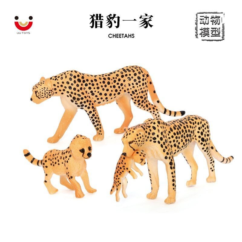 ♞廠家批發♞仿真實心野生動物模型非洲獵豹金錢豹 兒童啟蒙認知玩具擺件