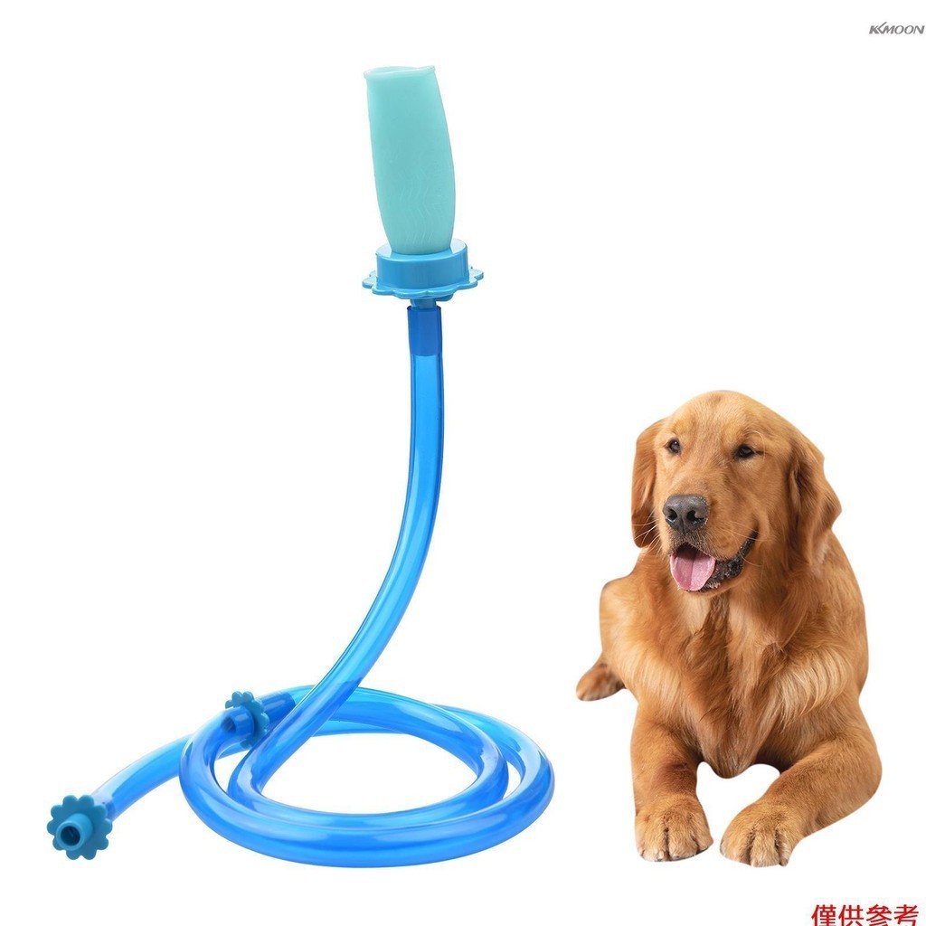 滑動式狗清洗軟管附件手持式寵物淋浴軟管,用於淋浴頭水槽 5 英尺軟管長度適合高達 6 英寸直徑的頭(不用於浴缸水龍頭)