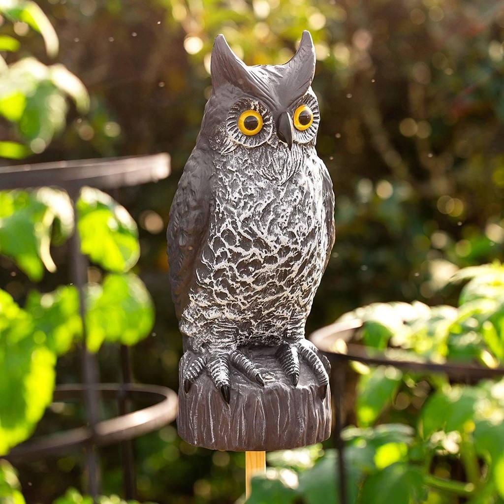 仿真直頭貓頭鷹 嚇鳥驅鼠神器 庭院戶外假鳥動物模型園林裝飾 工藝品擺件  園林裝飾
