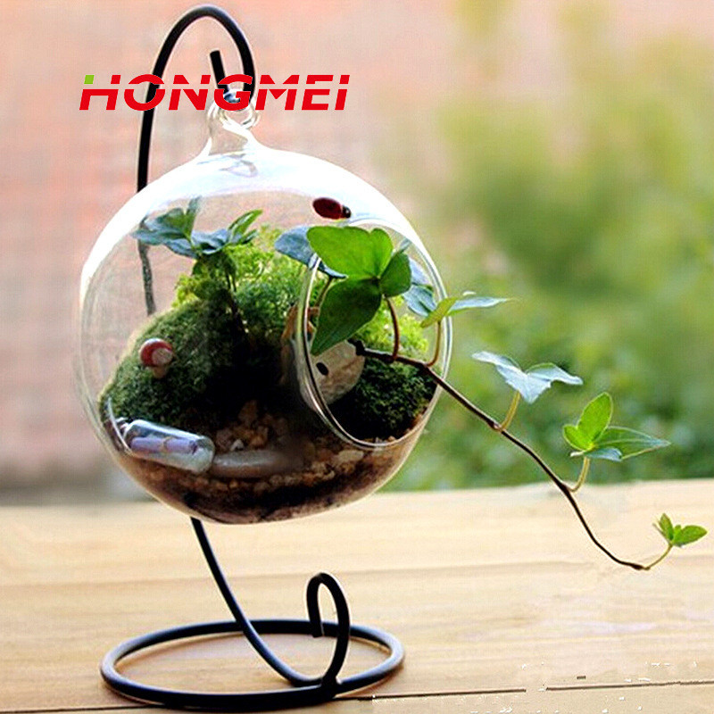 高硼硅玻璃創意DIY透明微景觀生態瓶子植物玻璃瓶吊球工廠