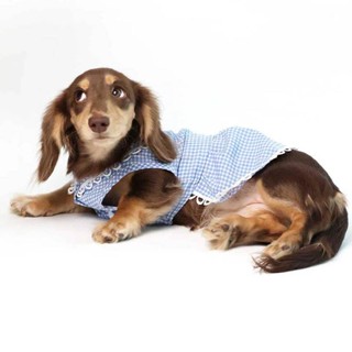 【特惠免運】狗狗衣服 寵物衣服 貓咪衣服寵物衣服夏季藍色格紋可愛娃娃領寵物裙子狗狗衣服貓貓服飾