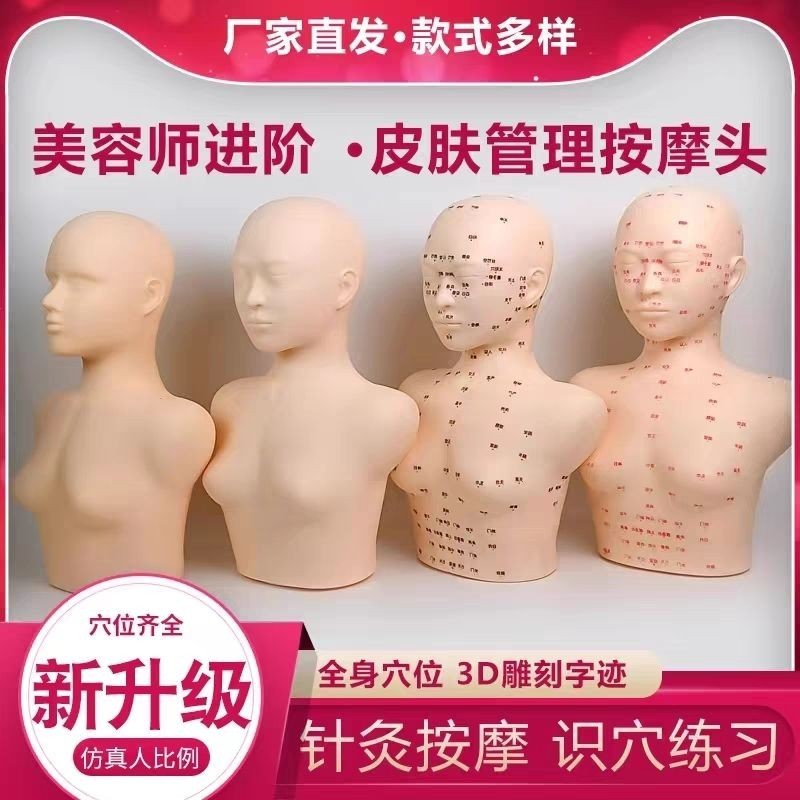 皮膚管理頭模學美容假人頭頭部模型美容模特頭臉部按摩光頭帶肩膀
