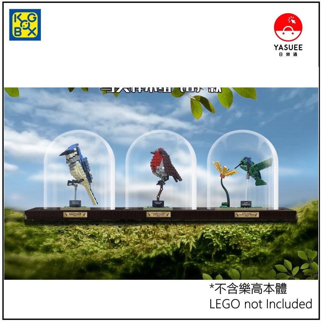 [Yasuee] 展示用防塵箱 玻璃罩 樂高 LEGO 21301 Birds 不含樂高本體