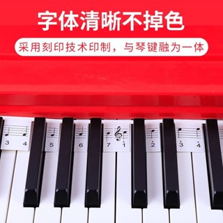【快速出貨】電子琴鍵盤音標貼鋼琴數字音符貼琴鍵貼紙88鍵音符條初學者練習貼