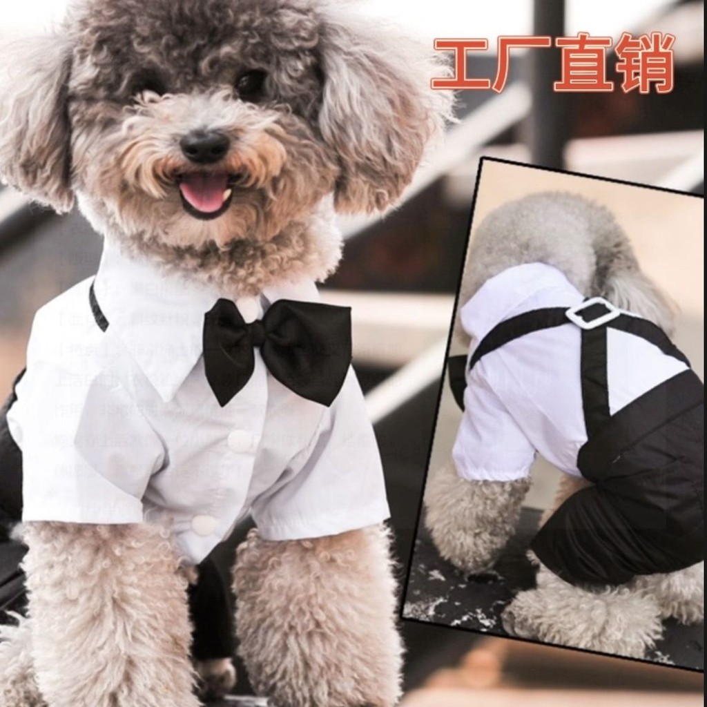 寵物狗狗禮服西裝短袖泰迪中小型犬揹帶婚禮西裝帶蝴蝶結寵物衣服