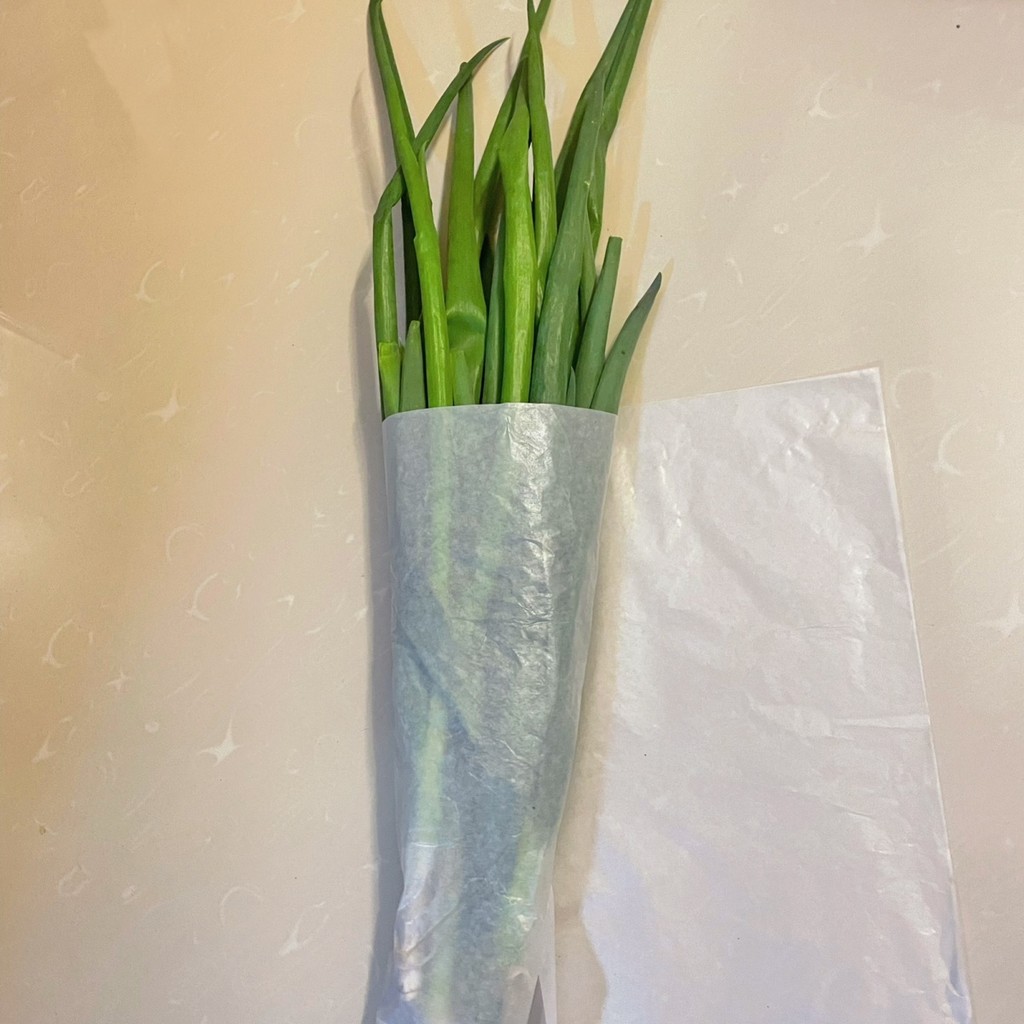 包菜紙水果蔬菜冰箱儲存保鮮防潮半透明包裝紙油光紙韌性好無異味[cxy]