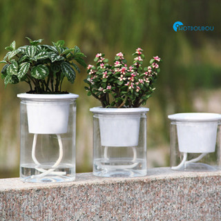 懶人花盆自動吸水透明圓形塑膠水培花盆創意樹脂多肉植物花盆