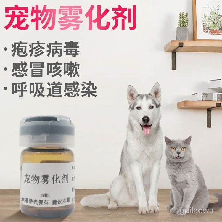 【In stock】寵物犬貓霧化機貓鼻支霧化感冒狗咳嗽霧化產品 DSOA