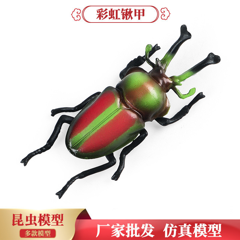 ❤樂樂屋❤兒童科教仿真實心昆蟲動物模型澳洲彩虹鍬甲鍬形蟲甲蟲玩具