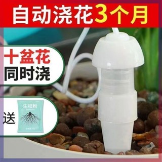 購滿99出貨⚡臺灣出貨⚡澆花神器 假期 出差 自動澆水器 家用滴灌澆花器 滴水器 懶人盆栽滲水器