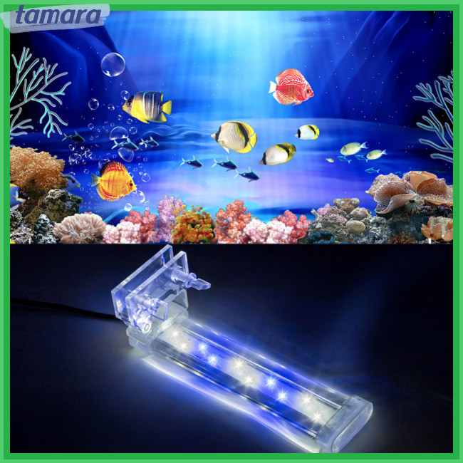 Bhn LED燈魚缸水晶LED水族夾燈植物生長水族魚缸燈照明歐標