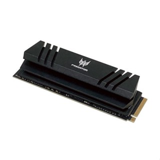 Acer 宏碁 Predator GM7000 2TB SSD 固態硬碟 M.2 PCIe(散熱片) 5年保固