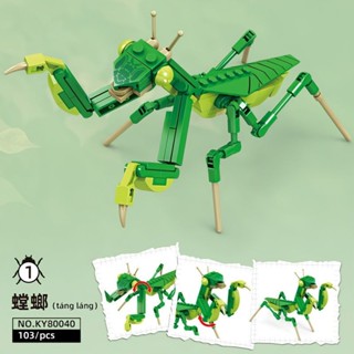 兼容樂高昆蟲積木系列蜻蜓螳螂模型益智拼裝玩具兒童生日禮物6+《