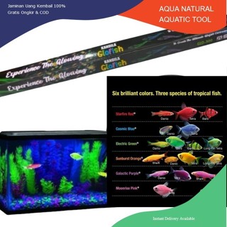 Kandila GLOFISH GLO 500 led 魚浸燈發光魚 led 水族箱