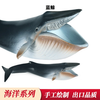 ❤樂樂屋❤兒童認知靜態實心塑膠玩具新款藍鯨鯊魚仿真海洋動物鯨魚模型