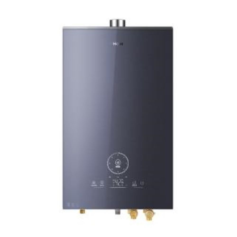 【Haier 海爾】20L五段火排強制排氣熱水器SA2基本安裝20 Salto Angel（NG1/FE式）