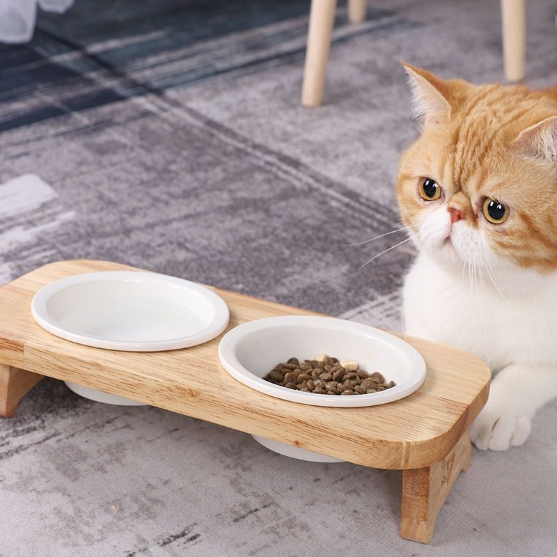 陶瓷貓碗木托架實木碗架雙碗防打翻斜口保護頸椎貓糧貓咪飯碗雙碗