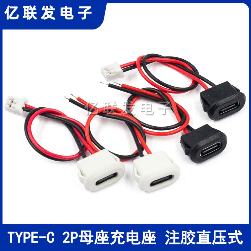 TYPE-C母座2P注膠 直壓式 檯燈typec充電口 電動車 汽車usb連接器