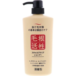 【無國界雜貨舖】日本 純藥 JUNYAKU株式會社 毛根活性 健康頭皮 洗髮精 550ml (弱酸性)