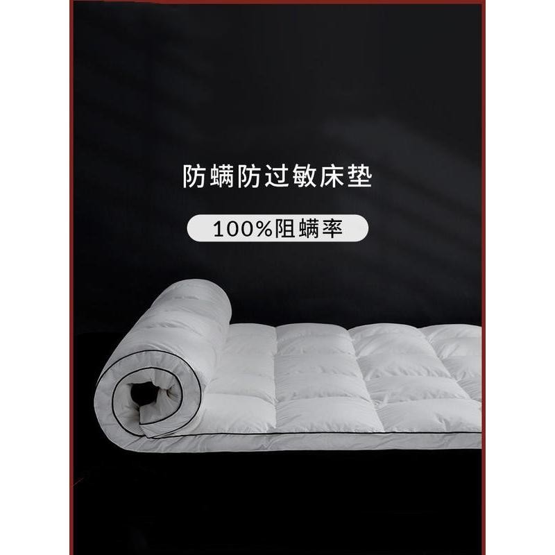 台灣熱賣商品OLNFXD德國防蟎蟲床墊軟墊雙人家用單人床褥子宿舍床上用品除蟎墊