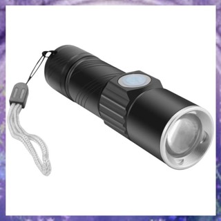 (X Y S V)395Nm 紫外線手電筒 Blacklight USB 可充電 LED 手電筒