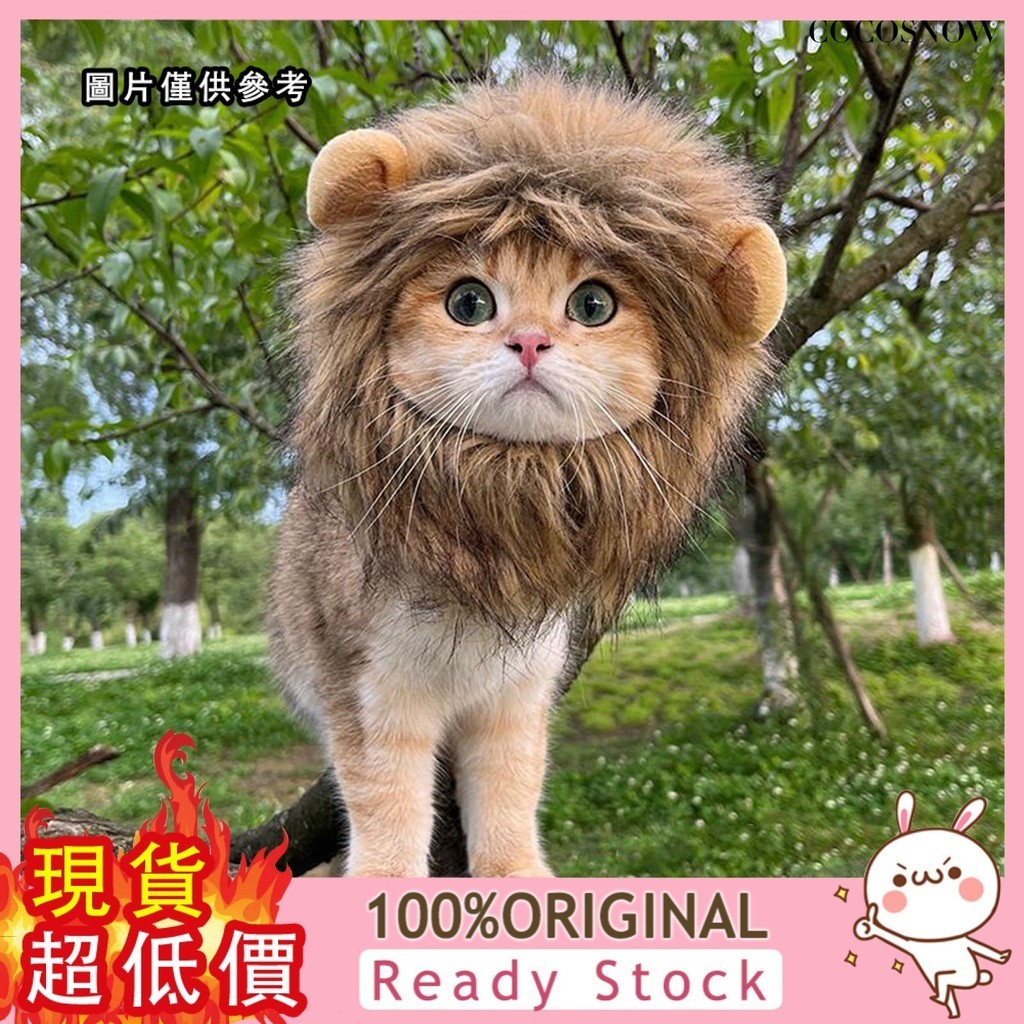 [迪曼]  貓咪獅子頭套小型犬狗狗帽子寵物可愛搞怪頭飾變裝