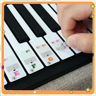 Lyn 61 鍵透明彩色鋼琴鍵音符鍵盤貼紙