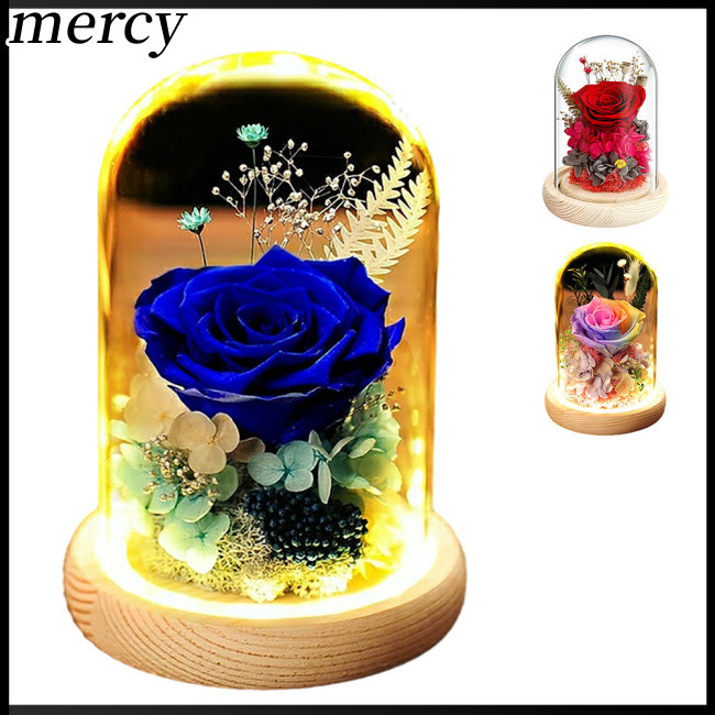 全新玫瑰玻璃圓頂裝飾帶 LED 燈永恆人造花禮物,玻璃圓頂永恆點亮玫瑰花