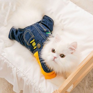 【秒殺】小熊繡花貓咪薄款四腳衣防掉毛布偶貓英短藍貓加菲貓寵物小貓衣服寵物用品