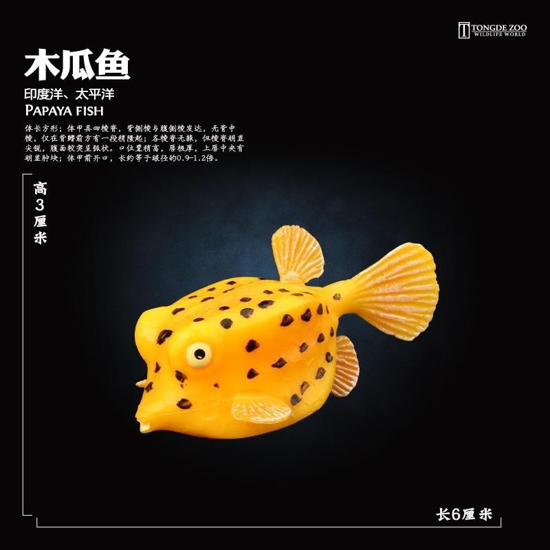 ♣             童德木瓜魚模型仿真海洋動物玩具海底生物兒童認知