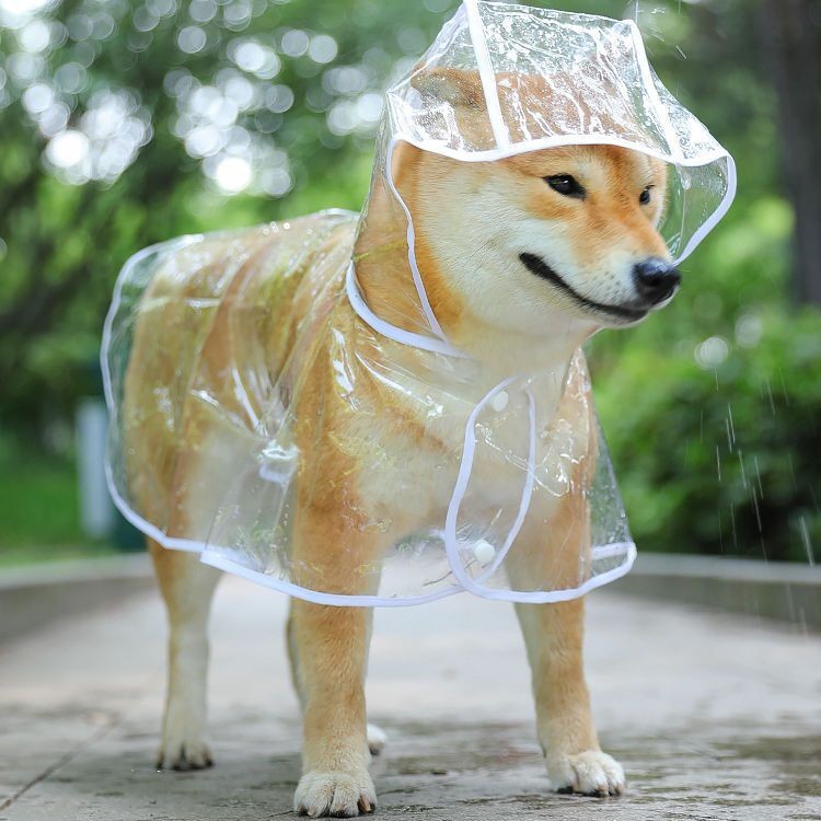 【台灣出貨】狗狗免套腳斗蓬式雨衣 寵物雨衣 雨衣 柴犬雨衣 防水 寵物透明雨衣 連帽雨衣 寵物外出雨衣 不遮視線好行走