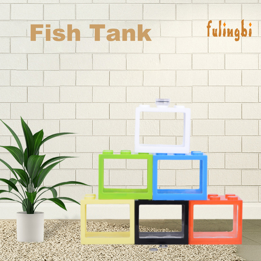 [FUI] 積木鬥魚小魚缸微型生態觀賞魚缸鬥魚盒海藻球爬蟲盒創意小魚缸