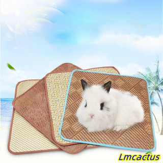 Lmcactus 寵物藤墊多功能降溫墊睡墊寵物夏季用品兔龍貓豚鼠