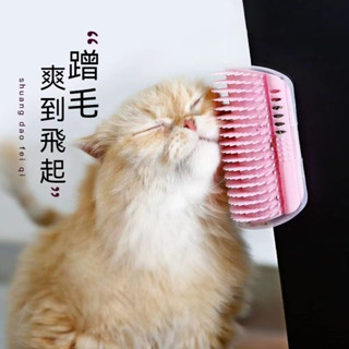台灣出貨🍓牆角貓蹭毛器 寵物梳 貓抓癢 貓咪 貓梳毛 貓抓背 牆角梳 貓磨蹭 除毛梳 按摩梳 貓不求人