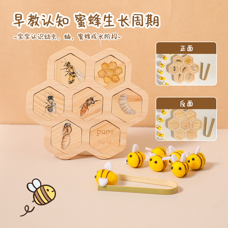蒙氏自然科學教具動物生命周期推演板蜜蜂拼圖幼兒園早教認知玩具