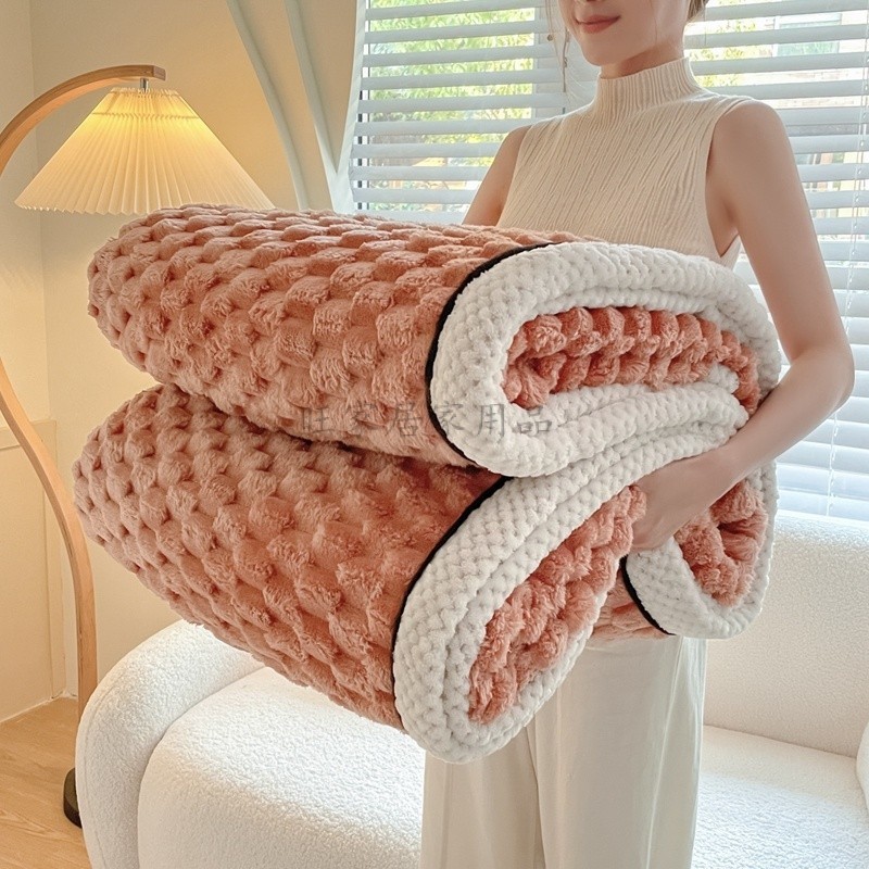 毛毯 午睡毯  法蘭絨毛毯  珊瑚絨毛毯  牛奶絨毛毯 純色金龜絨毛毯 多功能雙面絨蓋毯 法蘭絨單雙人毛毯 加絨保暖蓋被