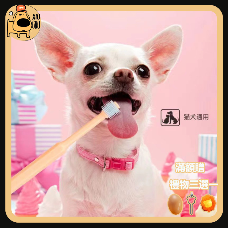 【蕭桑】小號360度 貓狗通用牙刷 寵物牙刷 小型牙刷 貓咪牙刷 牙齒清潔口腔 寵物用品