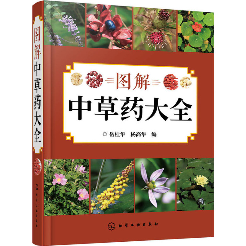 圖解中草藥大全（簡體書）(精裝)/岳桂華《化學工業出版社》【三民網路書店】