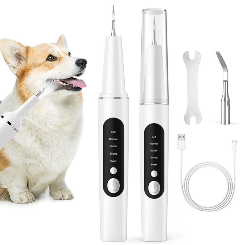 Fn-1 套裝寵物牙刷耐用寵物牙齒護理套件高效狗牙菌斑去除牙刷套裝寵物用品